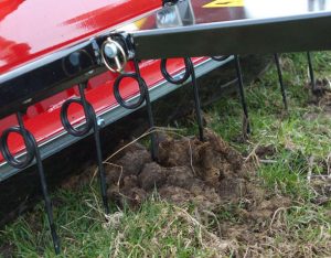 Opruimen paardenmest